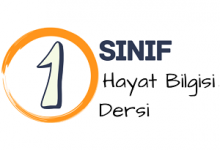 1 hayat