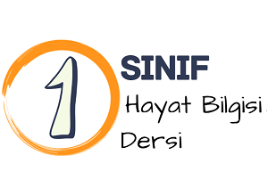 1 hayat