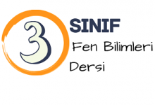 3 fen