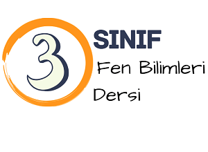3 fen