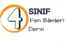 4 fen