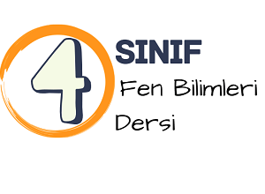 4 fen
