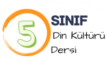 5 din