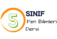 5 fen