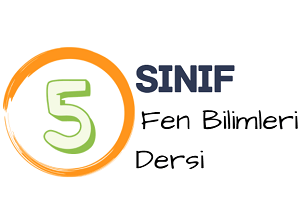 5 fen