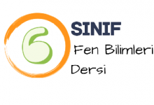 6 fen