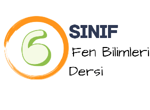 6 fen