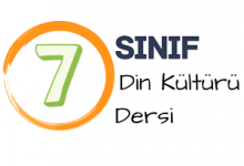 7 din