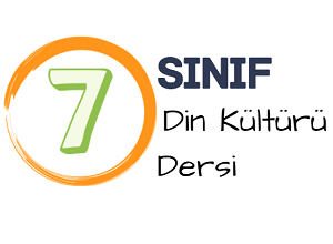 7 din
