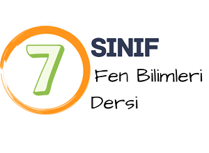 7 fen