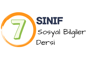 7 sosyal