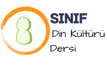 8 din