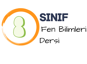 8 fen