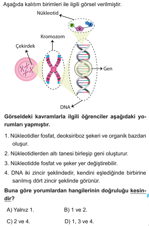 Question Image