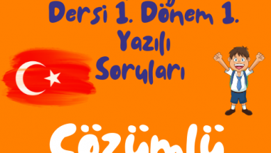 Turuncu Eglenceli ve Renkli Okula Donus Instagram Gonderisi 500 × 500 piksel 1 2