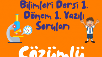 Turuncu Eglenceli ve Renkli Okula Donus Instagram Gonderisi 500 × 500 piksel 10