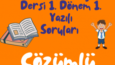 Turuncu Eglenceli ve Renkli Okula Donus Instagram Gonderisi 500 × 500 piksel 15