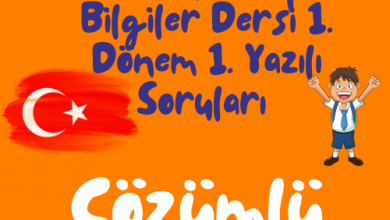 Turuncu Eglenceli ve Renkli Okula Donus Instagram Gonderisi 500 × 500 piksel 16