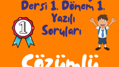 Turuncu Eglenceli ve Renkli Okula Donus Instagram Gonderisi 500 × 500 piksel 4 1