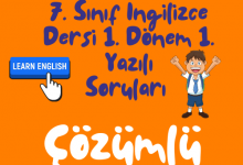 Turuncu Eglenceli ve Renkli Okula Donus Instagram Gonderisi 500 × 500 piksel 4