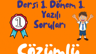 Turuncu Eglenceli ve Renkli Okula Donus Instagram Gonderisi 500 × 500 piksel 5 1