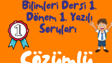 Turuncu Eglenceli ve Renkli Okula Donus Instagram Gonderisi 500 × 500 piksel 6 1