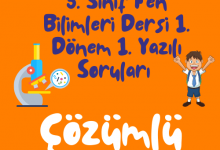 Turuncu Eglenceli ve Renkli Okula Donus Instagram Gonderisi 500 × 500 piksel 7 1