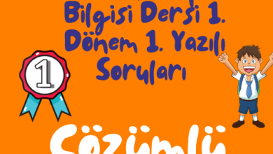 Turuncu Eglenceli ve Renkli Okula Donus Instagram Gonderisi 500 × 500 piksel 7 2