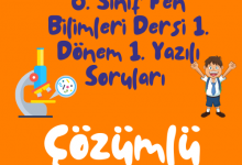 Turuncu Eglenceli ve Renkli Okula Donus Instagram Gonderisi 500 × 500 piksel 8