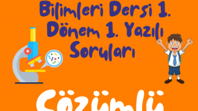 Turuncu Eglenceli ve Renkli Okula Donus Instagram Gonderisi 500 × 500 piksel 8
