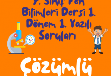 Turuncu Eglenceli ve Renkli Okula Donus Instagram Gonderisi 500 × 500 piksel 9