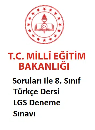 8 turkce
